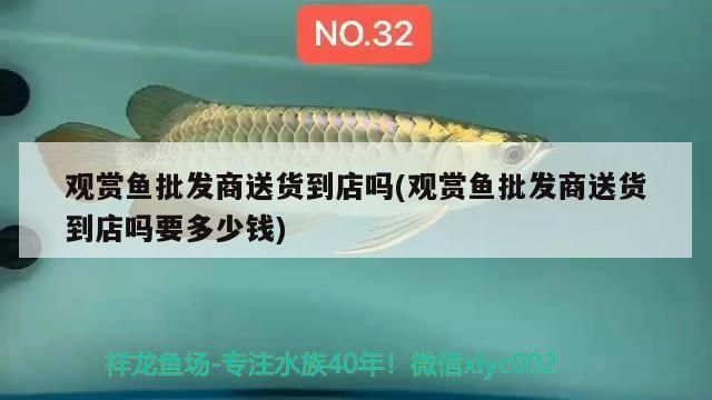 魚缸造景先放沙還是先放水(魚缸造景先鋪沙還是先放石頭) 觀賞魚批發商送貨到店嗎(觀賞魚批發商送貨到店嗎要多少錢) 觀賞魚百科 觀賞魚批發商送貨到店嗎(觀賞魚批發商送貨到店嗎要多少錢) 觀賞魚批發商送貨到店嗎(觀賞魚批發商送貨到店嗎要多少錢) 觀賞魚百科