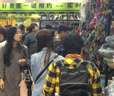 廣州最大的水族批發商:廣州一些較大的水族批發商 觀賞魚百科 第1張 廣州最大的水族批發商:廣州一些較大的水族批發商 廣州最大的水族批發商:廣州一些較大的水族批發商 觀賞魚百科 第1張