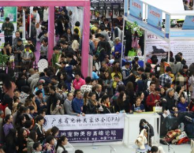 廣州最大的水族批發商：廣州一些較大的水族批發商 廣州最大的水族批發商：廣州一些較大的水族批發商 觀賞魚百科 第2張