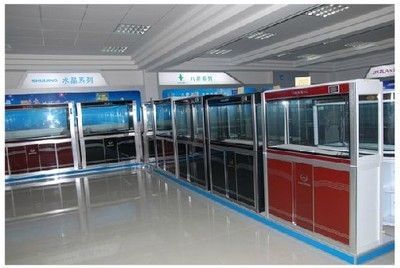 廣州最大的水族批發商:廣州一些較大的水族批發商 觀賞魚百科 第3張 廣州最大的水族批發商:廣州一些較大的水族批發商 廣州最大的水族批發商:廣州一些較大的水族批發商 觀賞魚百科 第3張