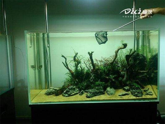 溫州魚缸海鮮池定做廠家地址電話號碼（溫州市區買魚缸的地方）