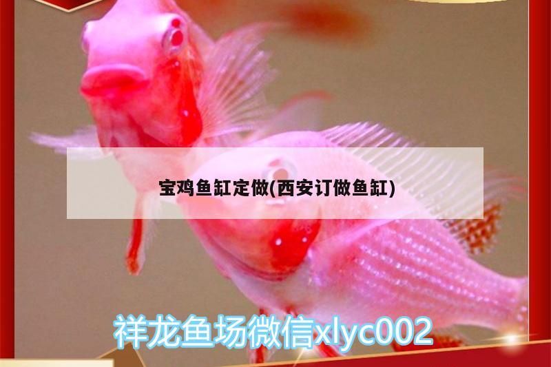 魚缸用增氧泵價(jià)格是多少:魚缸增氧機(jī)-xtrac增氧機(jī)-xtrac增氧機(jī) 寶雞魚缸定做(西安訂做魚缸) 觀賞魚百科 寶雞魚缸定做(西安訂做魚缸) 寶雞魚缸定做(西安訂做魚缸) 觀賞魚百科