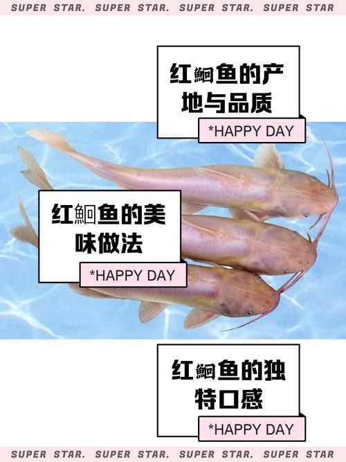 紅口魚圖片 紅口魚圖片 觀賞魚百科 第12張