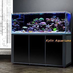 彩蝶魚缸官方旗艦店價格是多少:彩蝶魚缸官方旗艦店價格是多少彩蝶魚缸官方旗艦店價格是多少 觀賞魚百科 第1張 彩蝶魚缸官方旗艦店價格是多少:彩蝶魚缸官方旗艦店價格是多少彩蝶魚缸官方旗艦店價格是多少 彩蝶魚缸官方旗艦店價格是多少:彩蝶魚缸官方旗艦店價格是多少彩蝶魚缸官方旗艦店價格是多少 觀賞魚百科 第1張