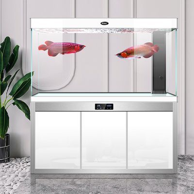 玉溪龍魚(yú)專(zhuān)賣(mài)店：玉溪水族館、玉溪魚(yú)缸訂做店電話地址查詢
