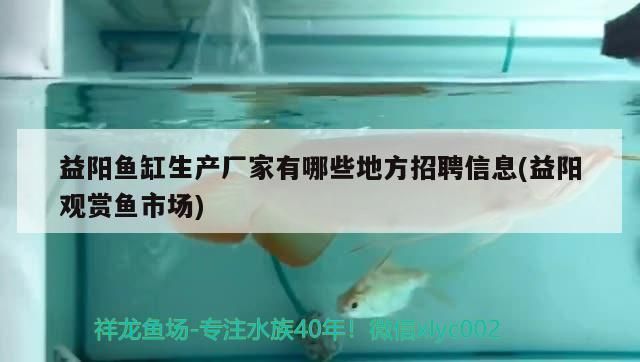 益陽魚缸生產廠家有哪些地方招聘信息(益陽觀賞魚市場) 益陽魚缸生產廠家有哪些地方招聘信息(益陽觀賞魚市場) 觀賞魚百科