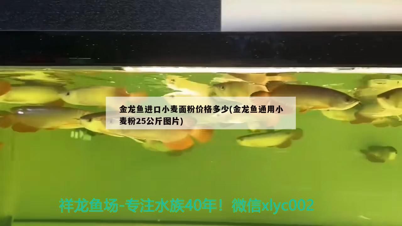 鄭州魚缸批發(fā)門店電話多少號：鄭州水族魚缸批發(fā)市場在哪里