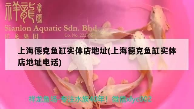 魚缸過濾器選購指南:自制魚缸過濾器魚缸上置過濾器對(duì)于養(yǎng)魚愛好者的必備知識(shí) 上海德克魚缸實(shí)體店地址(上海德克魚缸實(shí)體店地址電話) 觀賞魚百科 上海德克魚缸實(shí)體店地址(上海德克魚缸實(shí)體店地址電話) 上海德克魚缸實(shí)體店地址(上海德克魚缸實(shí)體店地址電話) 觀賞魚百科