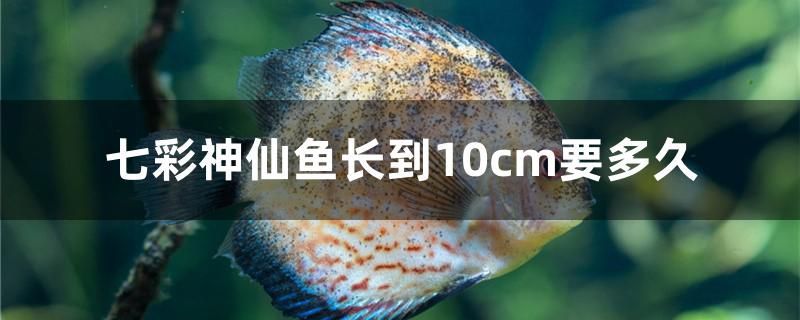 合肥觀賞魚租賃電話地址查詢 合肥魚缸
