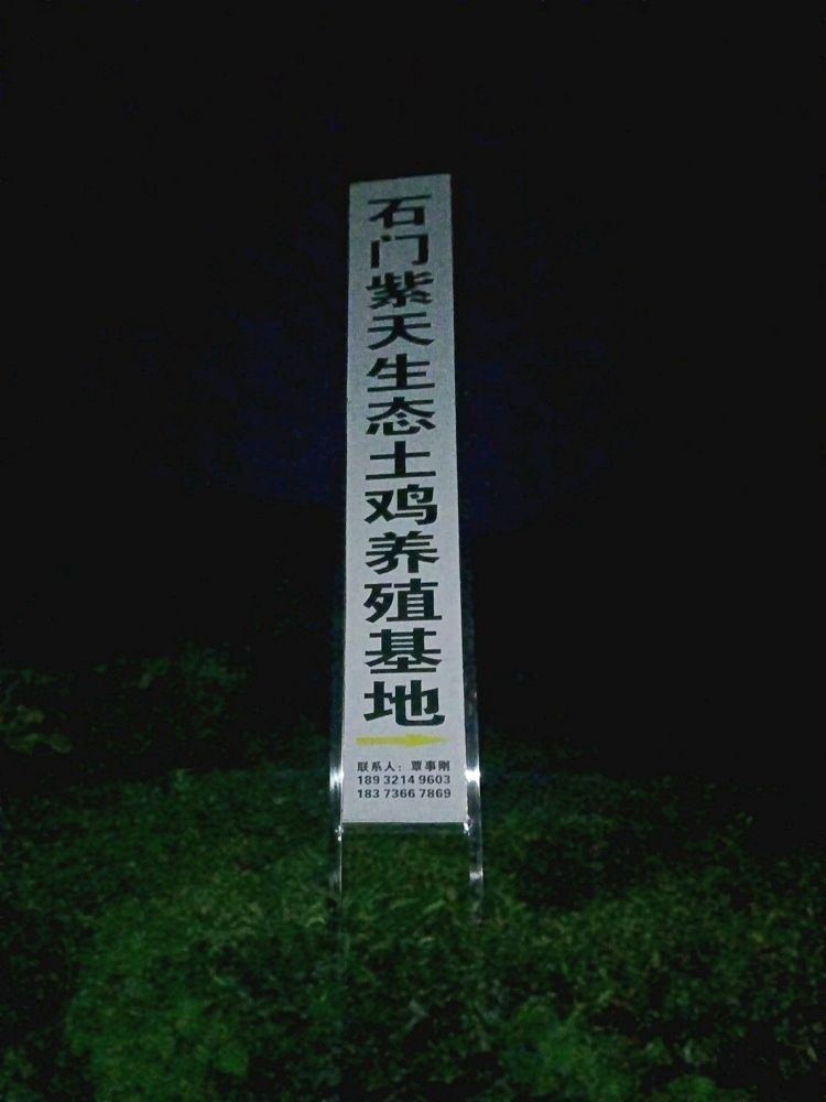 石門金龍魚 石門金龍魚 觀賞魚百科 第11張