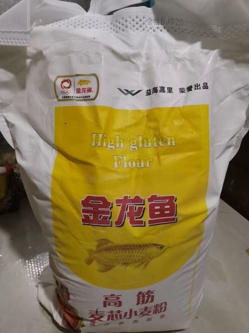 阜康金龍魚