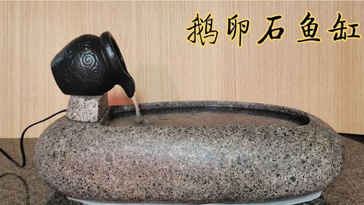 龍魚撞缸沉頭怎么治療（龍魚撞缸沉頭怎么治療視頻） 龍魚撞缸沉頭怎么治療（龍魚撞缸沉頭怎么治療視頻） 觀賞魚百科