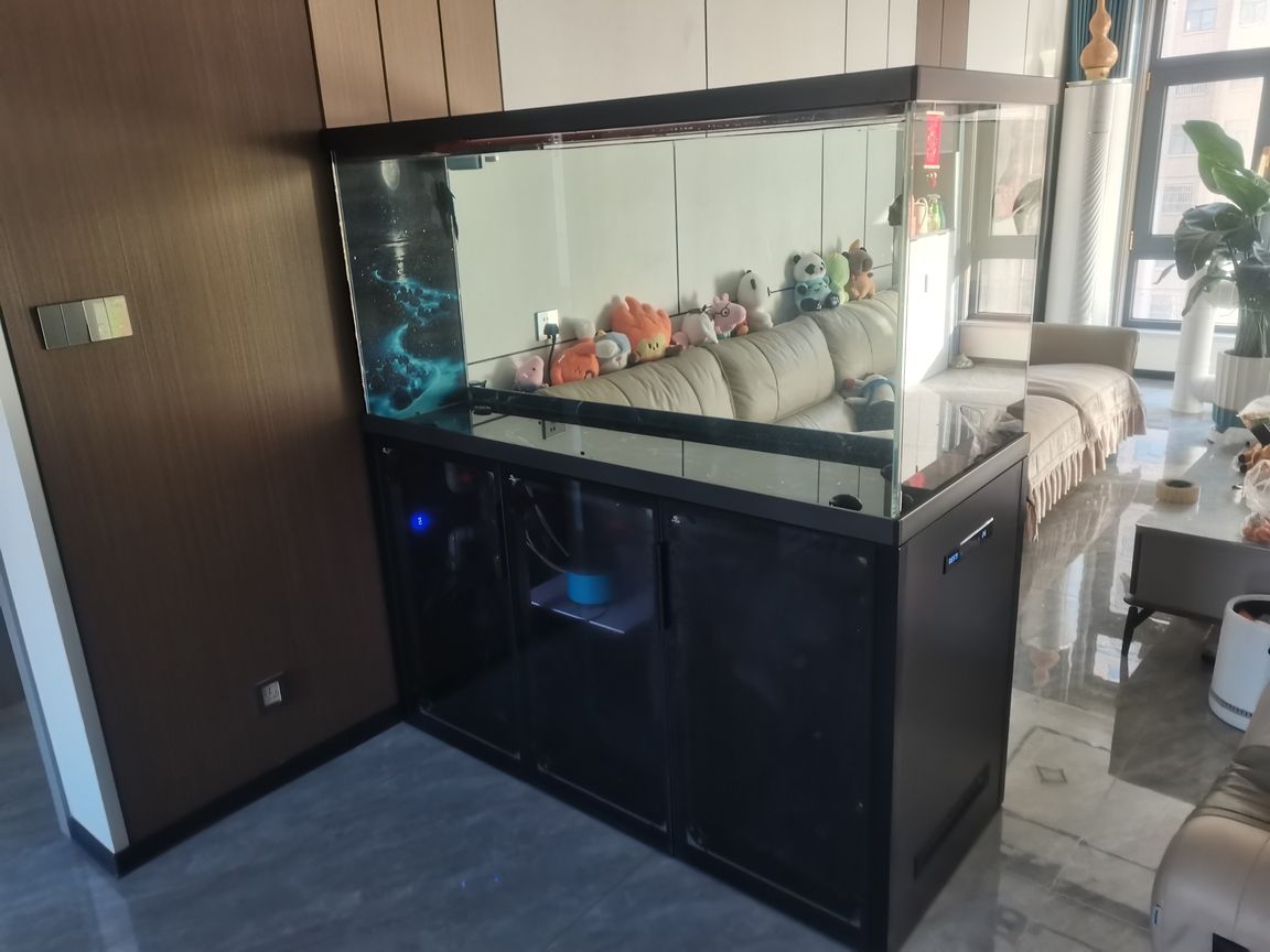 自己動手做的魚缸 自己動手做的魚缸 龍魚論壇 第3張