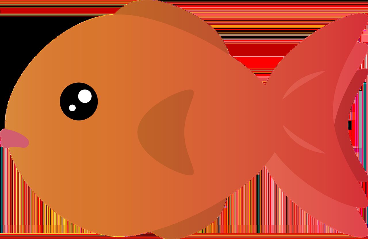 龍魚 阜新觀賞魚市場有幾個店鋪在哪(阜新花鳥魚市場在哪里) 觀賞魚百科 阜新觀賞魚市場有幾個店鋪在哪(阜新花鳥魚市場在哪里) 阜新觀賞魚市場有幾個店鋪在哪(阜新花鳥魚市場在哪里) 觀賞魚百科
