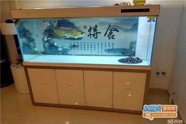 唐山可麗愛魚缸專賣店：唐山可麗愛魚缸專賣店提供各類水族箱及相關設備及相關設備 唐山可麗愛魚缸專賣店：唐山可麗愛魚缸專賣店提供各類水族箱及相關設備及相關設備 觀賞魚百科 第3張
