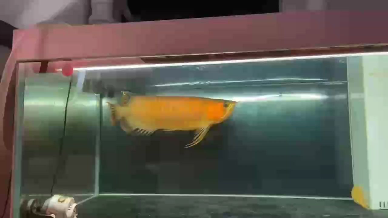 下擺彎曲，做個手術記錄一下