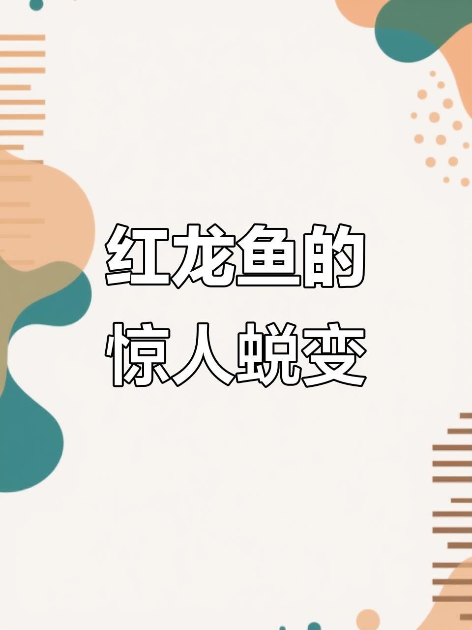 城中紅龍魚