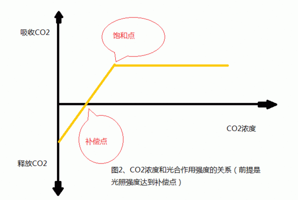 金龍魚品牌logo設計理念