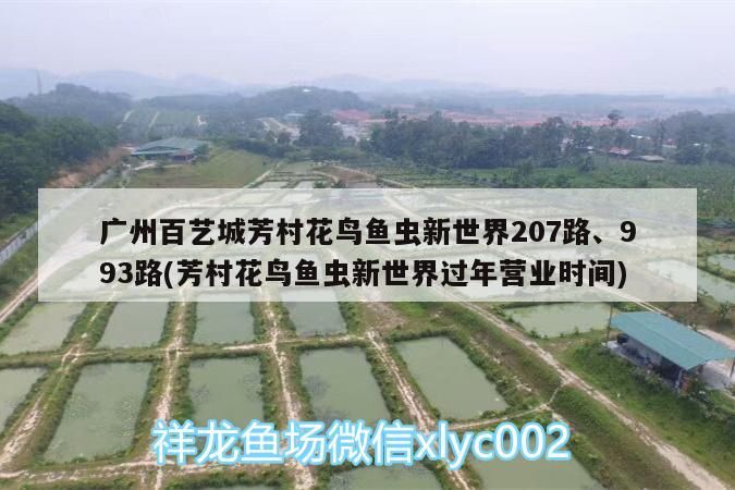 廣州百藝城芳村花鳥魚蟲新世界207路、993路(芳村花鳥魚蟲新世界過年?duì)I業(yè)時間)
