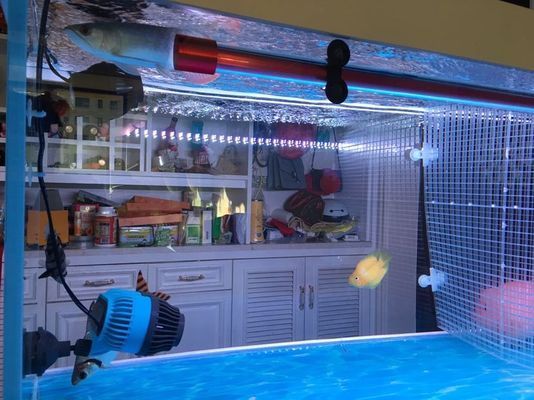 巴彥淖爾水族批發市場地址在哪里呀（巴彥淖爾臨河的觀賞魚市場）