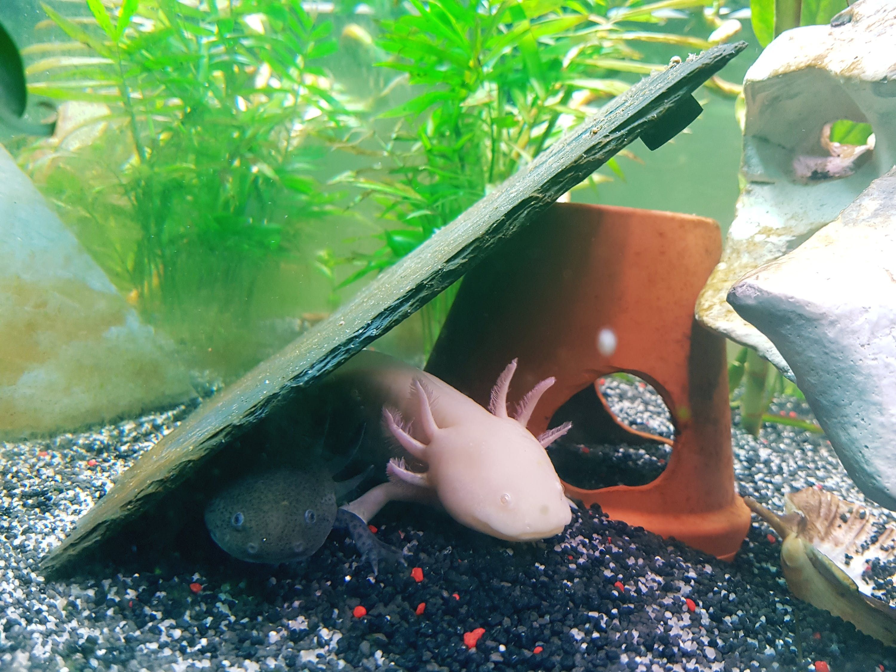 長春市二手魚缸交易市場地址在哪（長春市二手魚缸交易市場地址在哪里）