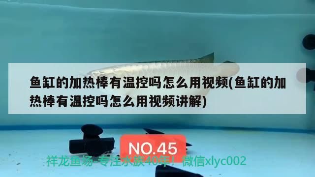 LED燈和熒光燈哪個更適合養龍魚？（led燈和熒光燈的選擇適合養龍魚的照明設備選購清單） LED燈和熒光燈哪個更適合養龍魚？（led燈和熒光燈的選擇適合養龍魚的照明設備選購清單） 龍魚百科 第2張