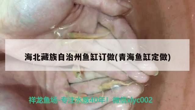 給大魚缸換水的作文:體驗給大魚缸換水的樂趣:體驗給大魚缸換水:給大魚缸換水的作文 海北藏族自治州魚缸訂做(青海魚缸定做) 觀賞魚百科 海北藏族自治州魚缸訂做(青海魚缸定做) 海北藏族自治州魚缸訂做(青海魚缸定做) 觀賞魚百科