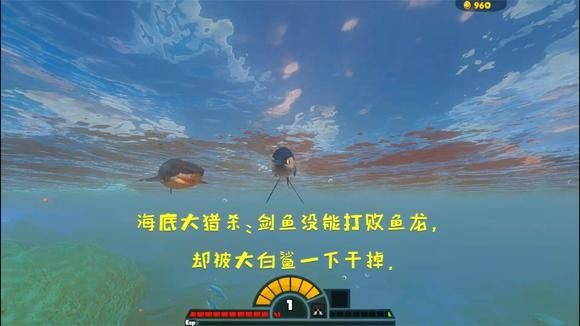 劍魚魚龍
