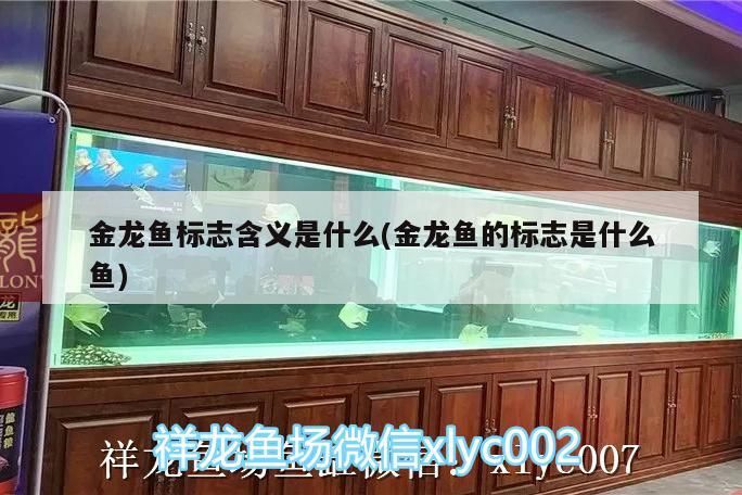 魚缸用增氧泵價(jià)格是多少:魚缸增氧機(jī)-xtrac增氧機(jī)-xtrac增氧機(jī) 紅龍魚能混養(yǎng)嗎怎么養(yǎng)的好看(紅龍魚的最佳混養(yǎng)魚) 觀賞魚百科 紅龍魚能混養(yǎng)嗎怎么養(yǎng)的好看(紅龍魚的最佳混養(yǎng)魚) 紅龍魚能混養(yǎng)嗎怎么養(yǎng)的好看(紅龍魚的最佳混養(yǎng)魚) 觀賞魚百科