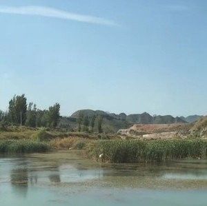 易縣野生魚市場在哪里