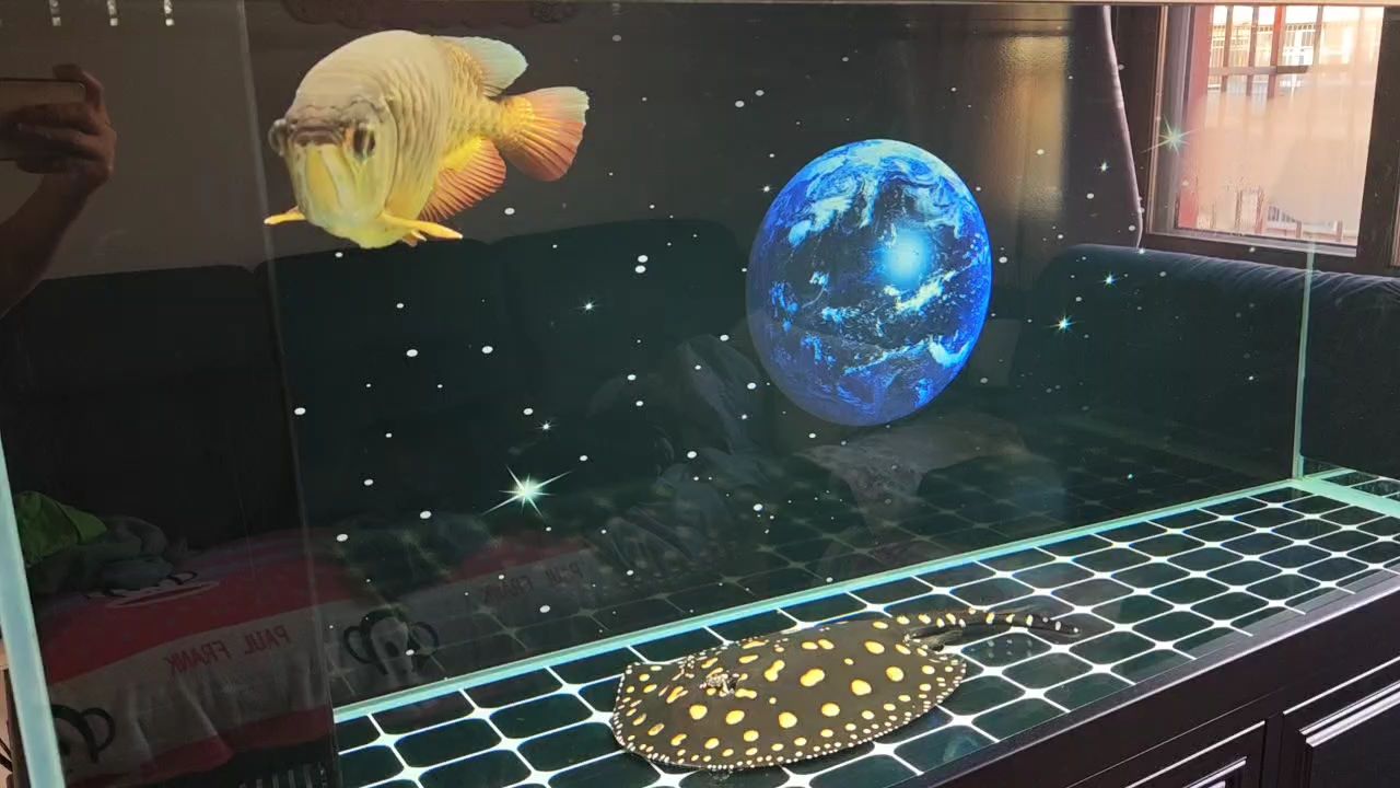新的一年就要來了，祝魚友們魚兒健康，大發財源