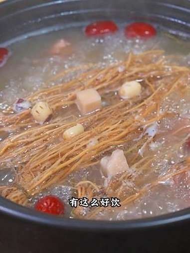 龍須胡須的用途與功效 龍須胡須的用途與功效 觀賞魚百科 第3張