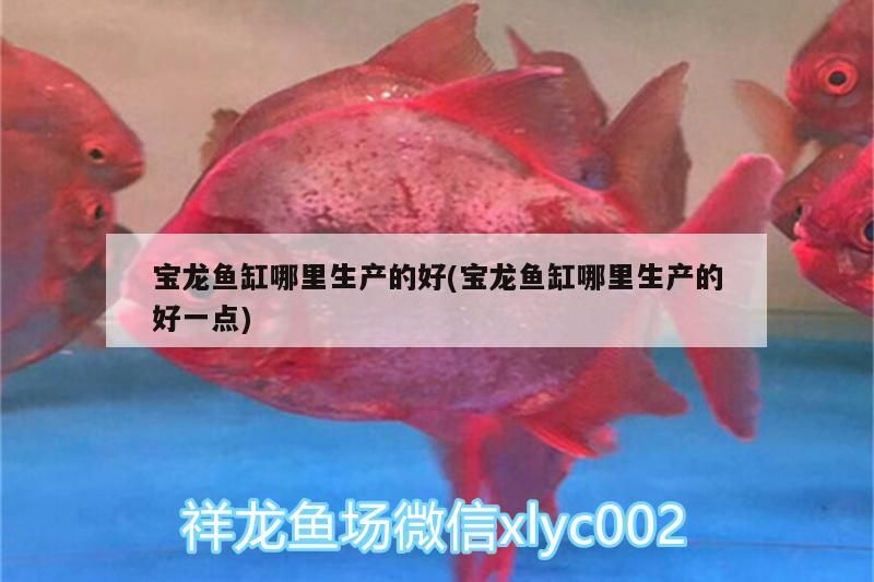 沈陽觀賞魚市場外灘觀賞魚市場地址介紹（沈陽觀賞魚市場），四平觀賞魚攻略 沈陽觀賞魚市場外灘觀賞魚市場地址介紹（沈陽觀賞魚市場），四平觀賞魚攻略 觀賞魚百科 第2張