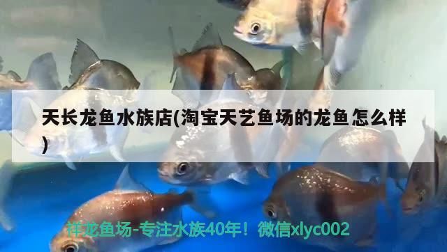 天長龍魚水族店(淘寶天藝魚場的龍魚怎么樣)