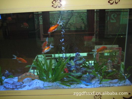 紅龍魚 龍魚的詞語(龍魚的成語有哪些) 觀賞魚百科 龍魚的詞語(龍魚的成語有哪些) 龍魚的詞語(龍魚的成語有哪些) 觀賞魚百科
