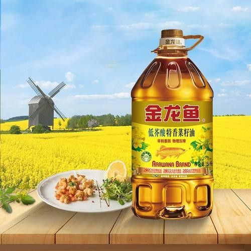 許昌金龍魚最正宗的圖片