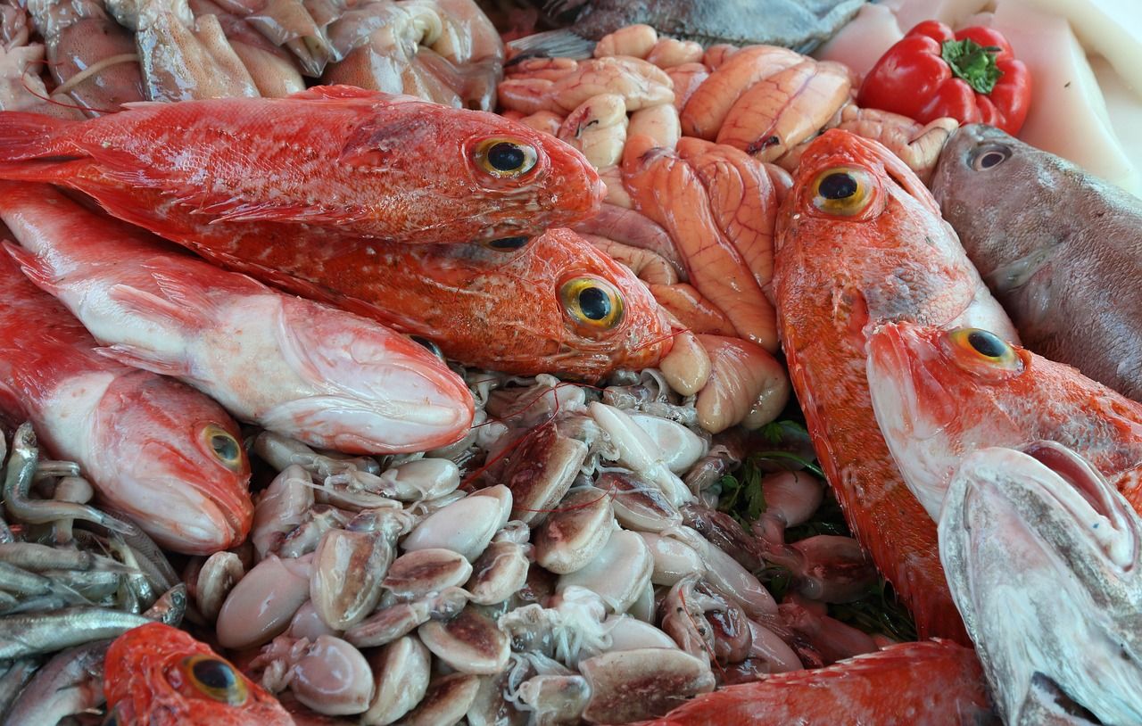 龍魚飄在頂層不動 （龍魚飄在頂層不動怎么回事） 龍魚飄在頂層不動 （龍魚飄在頂層不動怎么回事） 觀賞魚百科