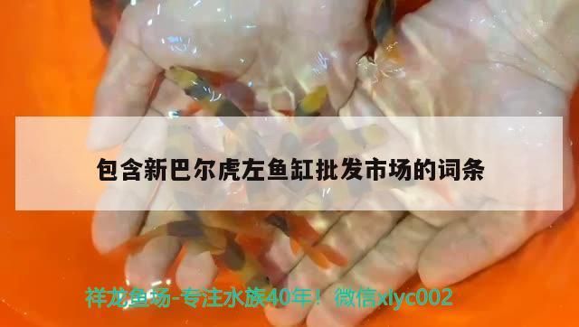 龍魚 包含新巴爾虎左魚缸批發(fā)市場(chǎng)的詞條 觀賞魚百科 包含新巴爾虎左魚缸批發(fā)市場(chǎng)的詞條 包含新巴爾虎左魚缸批發(fā)市場(chǎng)的詞條 觀賞魚百科