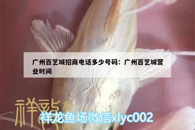 魚缸過濾器選購指南:自制魚缸過濾器魚缸上置過濾器對于養魚愛好者的必備知識 廣州百藝城招商電話多少號碼:廣州百藝城營業時間 觀賞魚百科 廣州百藝城招商電話多少號碼:廣州百藝城營業時間 廣州百藝城招商電話多少號碼:廣州百藝城營業時間 觀賞魚百科