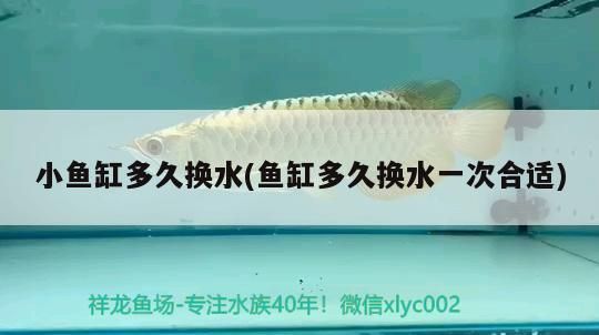 錦鯉魚(yú)品種介紹，銀色魚(yú)寓意什么