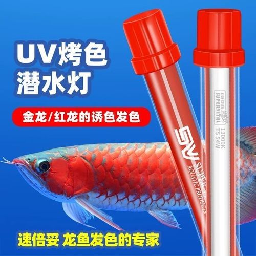 龍魚燈2700k屬于什么檔次