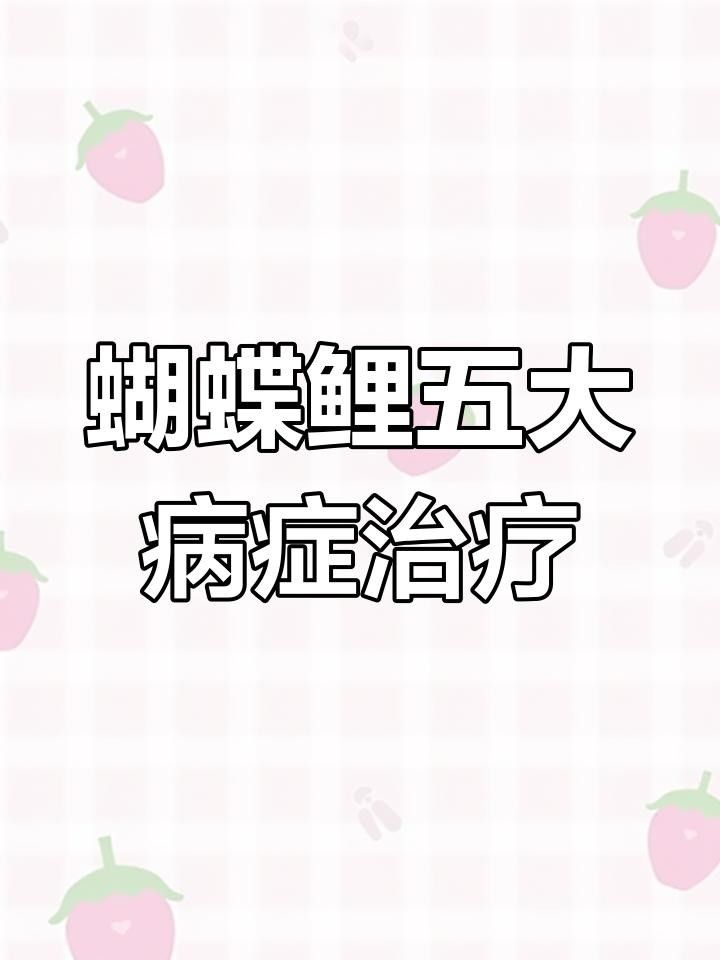 蝴蝶鯉常見病圖片 蝴蝶鯉常見病圖片 觀賞魚百科 第25張