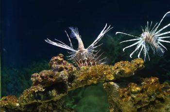 菏澤水族館：菏澤市水族館
