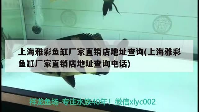 上海雅彩魚缸廠家直銷店地址查詢(上海雅彩魚缸廠家直銷店地址查詢電話)