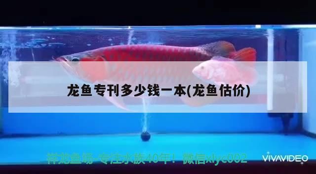 龍魚專刊多少錢一本(龍魚估價)