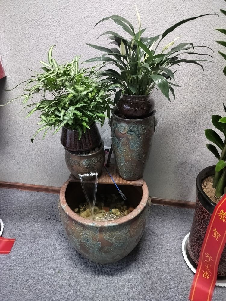 美麗的地缸 美麗的地缸 龍魚(yú)論壇 第2張