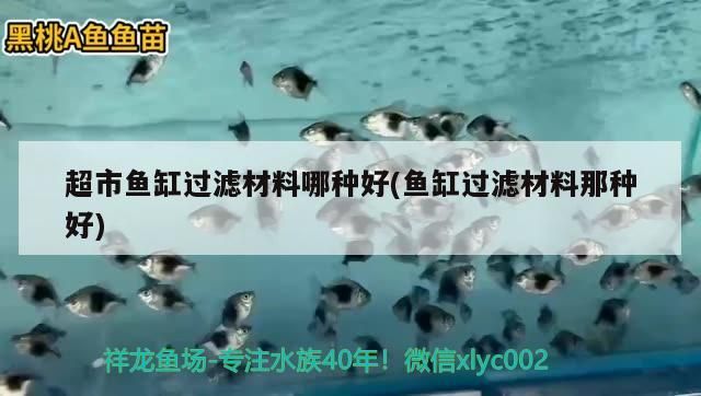 超市魚缸過(guò)濾材料哪種好(魚缸過(guò)濾材料那種好)