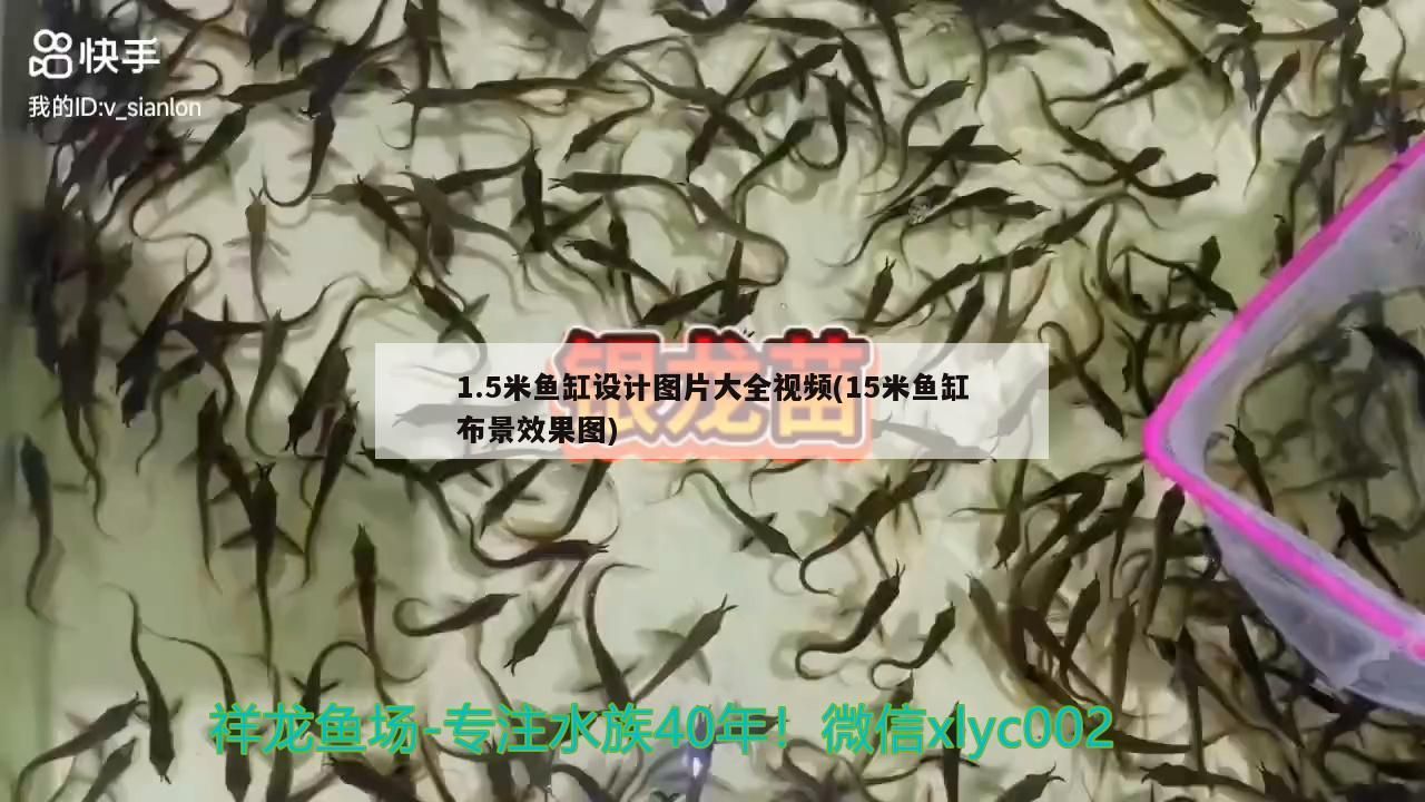 1.5米魚缸設計圖片大全視頻(15米魚缸布景效果圖)