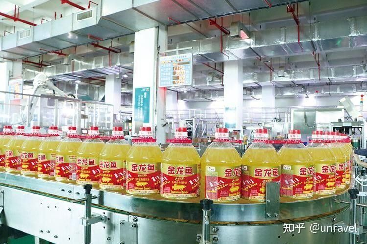 金陽金龍魚 金陽金龍魚 觀賞魚百科 第2張