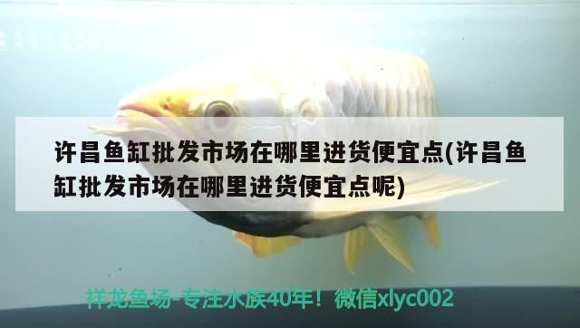 許昌魚缸批發市場在哪里進貨便宜點(許昌魚缸批發市場在哪里進貨便宜點呢) 許昌魚缸批發市場在哪里進貨便宜點(許昌魚缸批發市場在哪里進貨便宜點呢) 觀賞魚百科